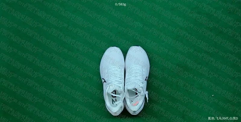 First Nike Pegasus 39 Haul 2
