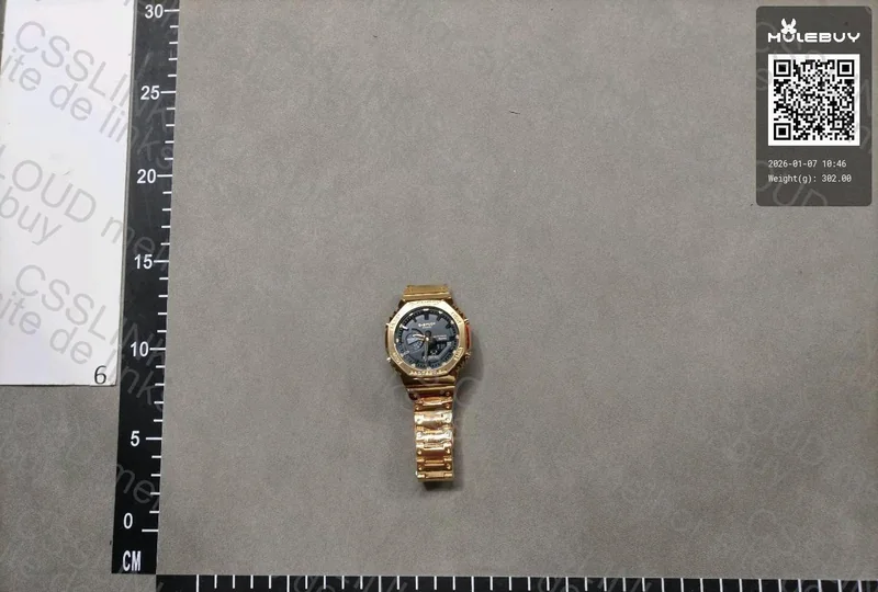 2 G-Shock Casioak GMB2100