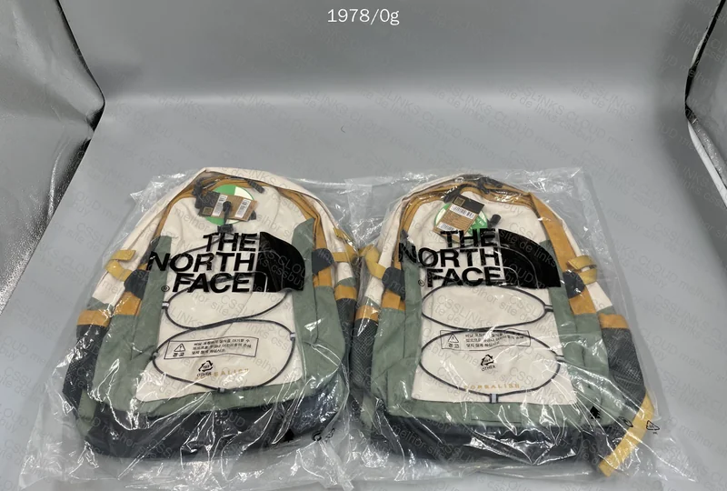2 The North Face Backpacks 3