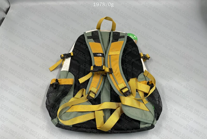 2 The North Face Backpacks 6