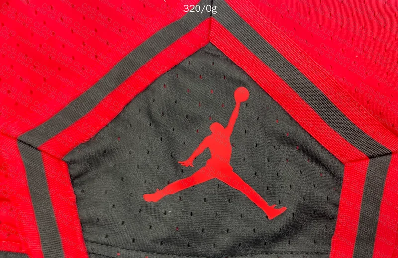2 Jordan Shorts 7