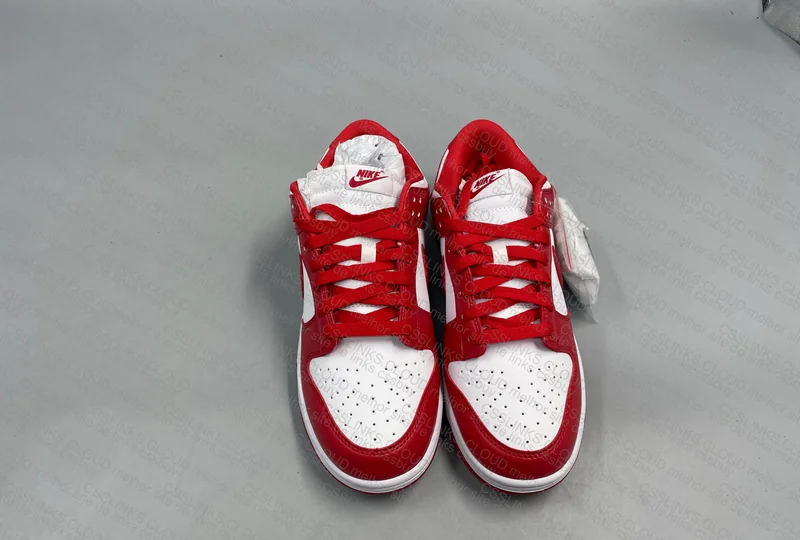 2x Dunk, Panda and Gym Red 5