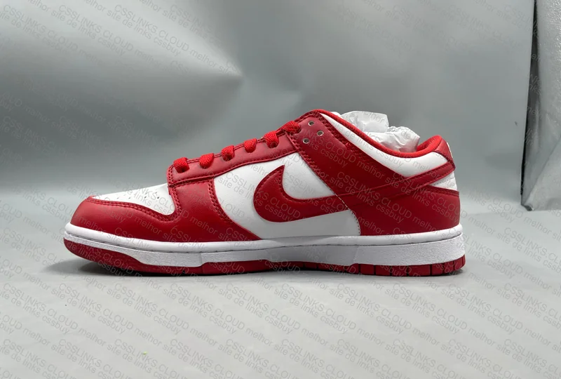 2x Dunk, Panda and Gym Red 6
