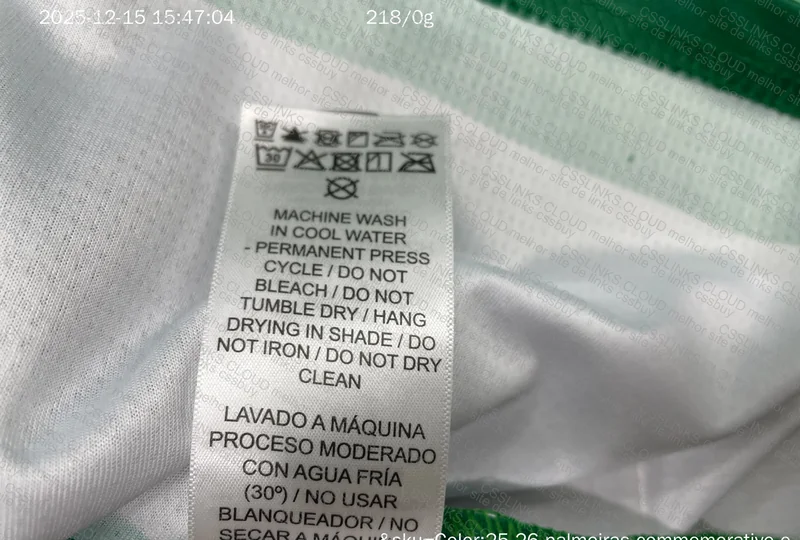 Palmeiras 3rd Jersey Player Version 2