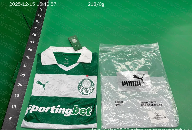 Palmeiras 3rd Jersey Player Version 3