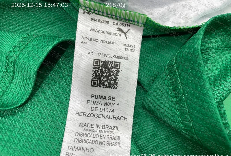 Palmeiras 3rd Jersey Player Version 5