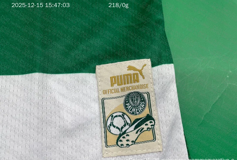 Palmeiras 3rd Jersey Player Version 6