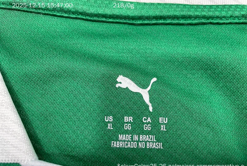 Palmeiras 3rd Jersey Player Version 8