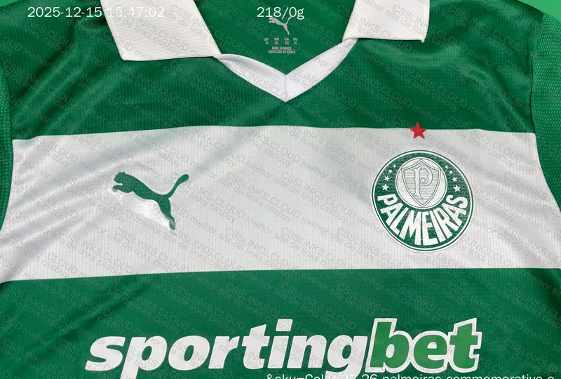 Palmeiras 3rd Jersey Player Version 9