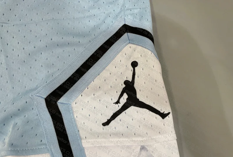 5 Jordan Shorts 3