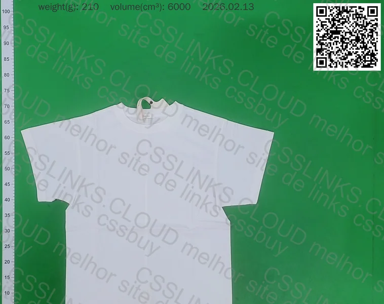 6x Camisetas Básicas (PROMOÇÃO)(Brand Chinese, The Row e Vuja Dé) 5