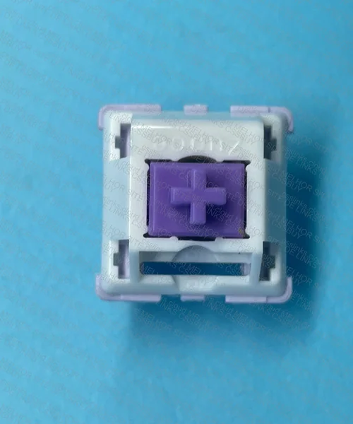 [83Y] Switch Linear Zuoce Cheese Grape 3