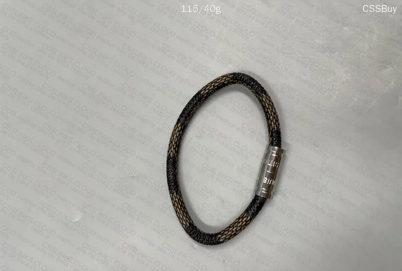 Louis Vuitton Accessory 2