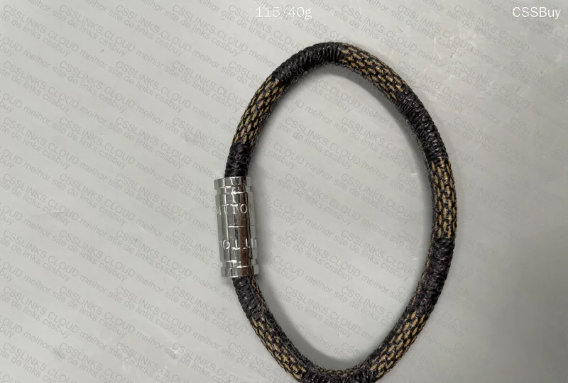 Louis Vuitton Accessory 3