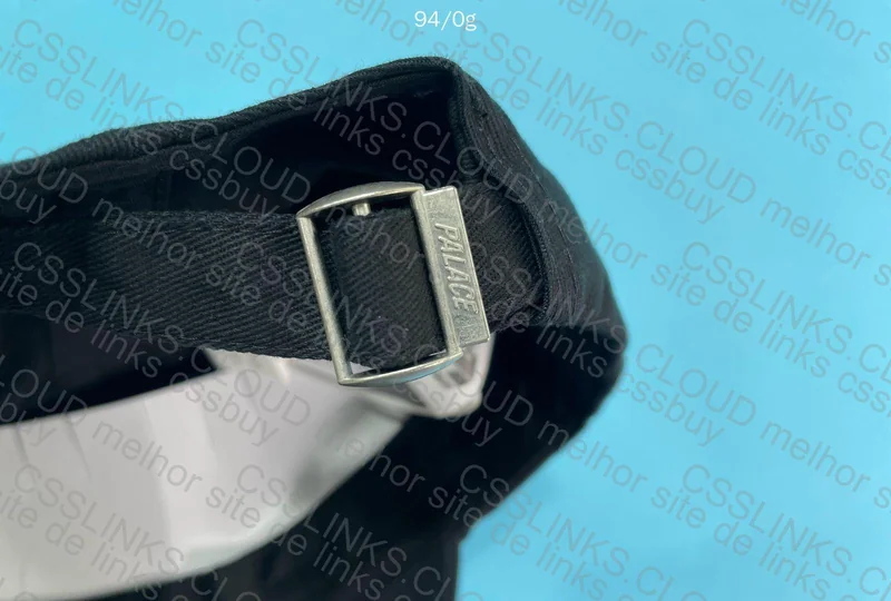 PALACE Accessories 5