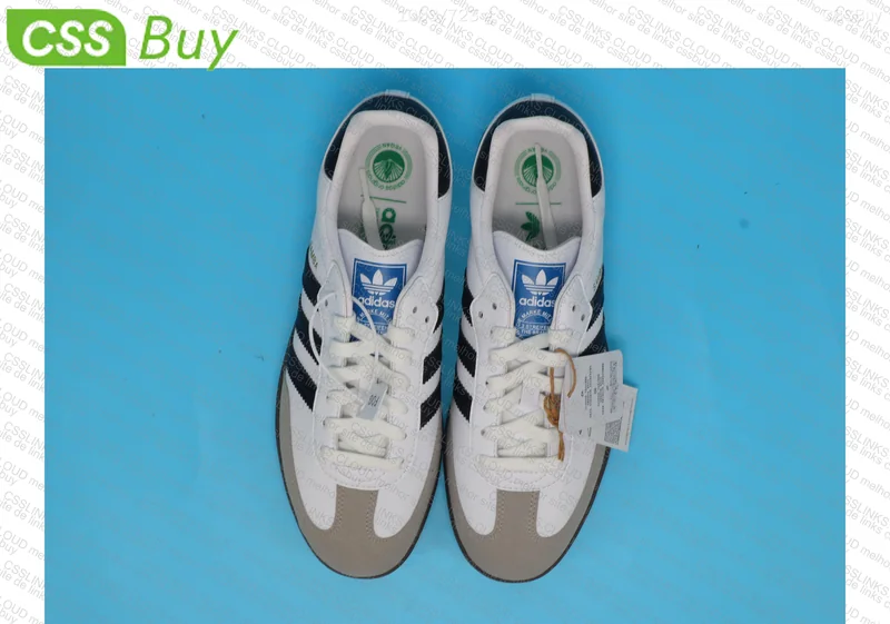 Adidas Samba and Nike Dunk