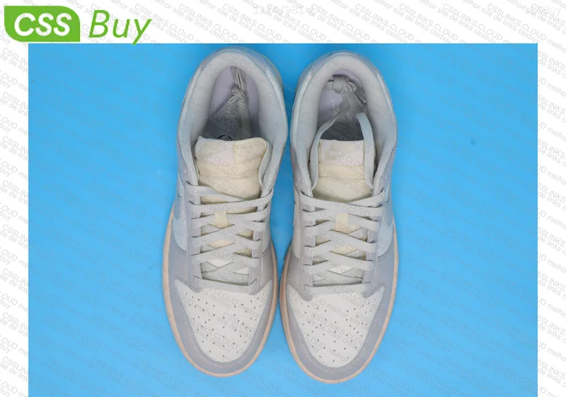 Adidas Samba and Nike Dunk 5