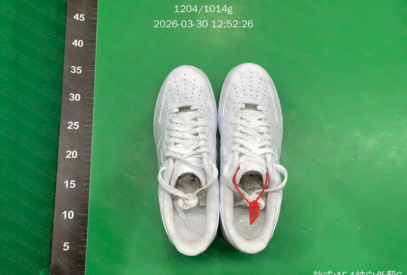 AF-1 GX SDS