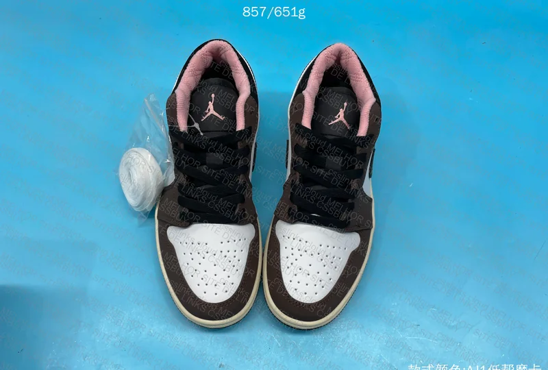 Air Jordan 1 DC6991-200 Cacao 10