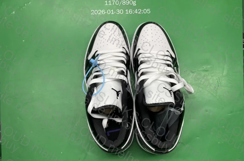 Air Jordan 1 Low SE Concord 5