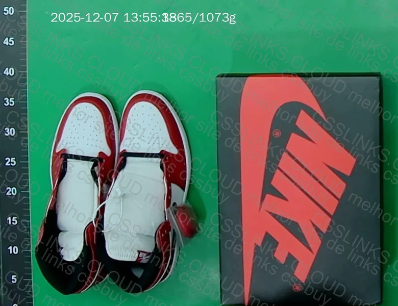 Air Jordan 1 Retro OG 10