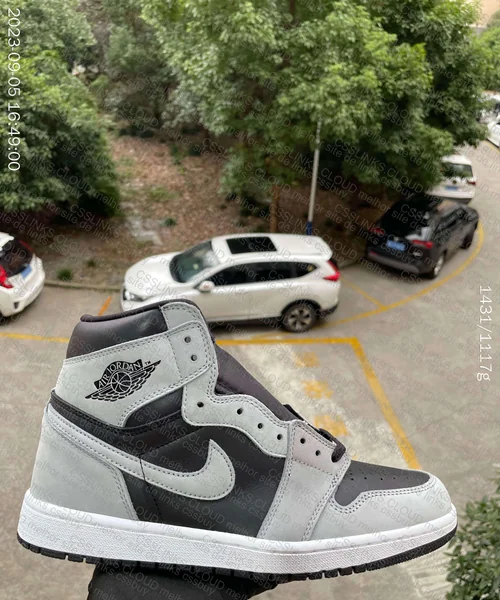Air Jordan 1 (Shadow 2.0)