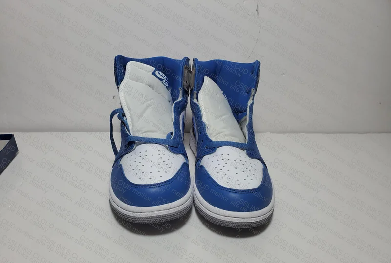 Air Jordan 1 True Blue 3