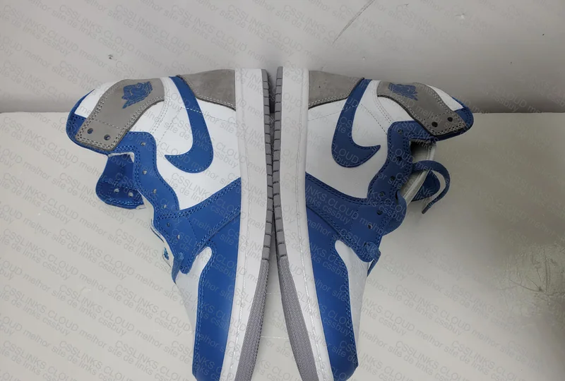 Air Jordan 1 True Blue 5