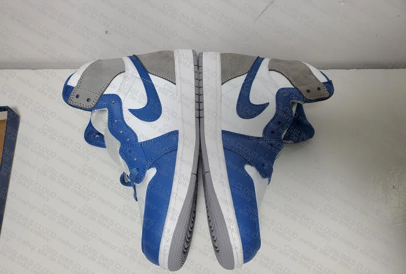 Air Jordan 1 True Blue 6