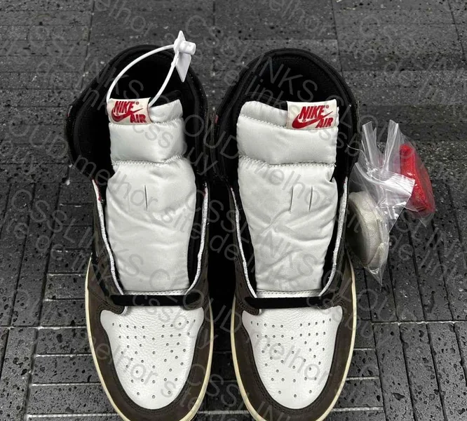 Air Jordan 1 TS 5