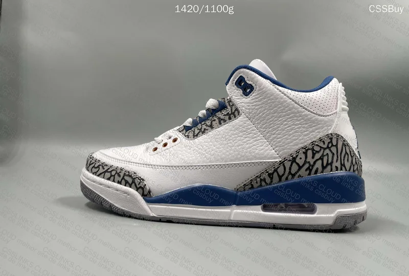 Air Jordan 3 6