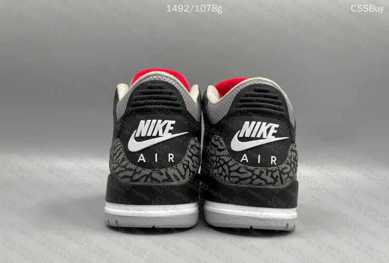 Air Jordan 3 5