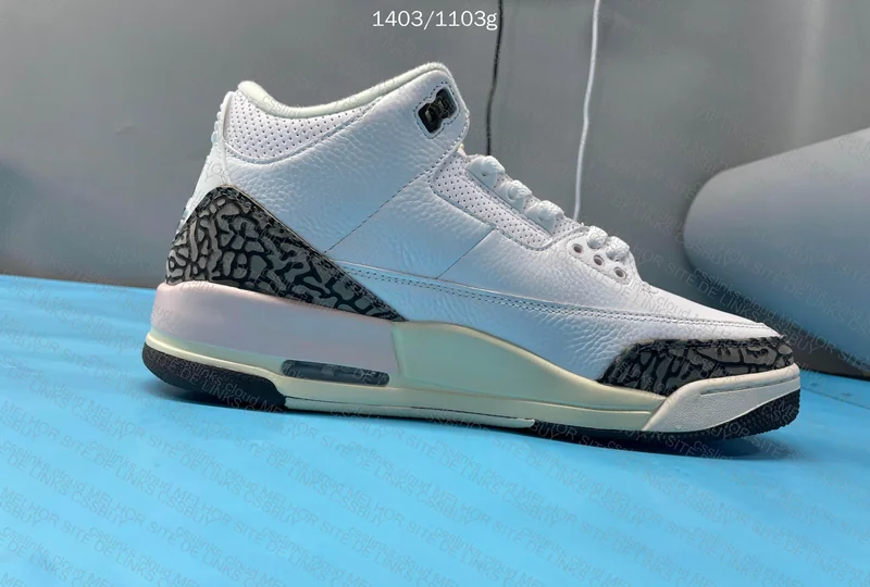 Air Jordan 3 6
