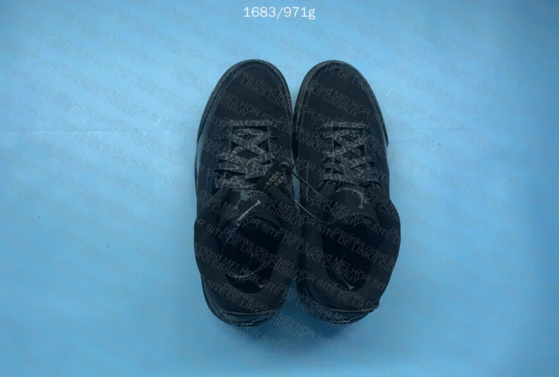 Air Jordan 3 Black Cat