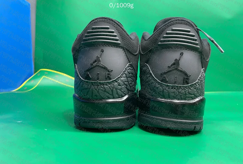Air Jordan 3 Black Cat