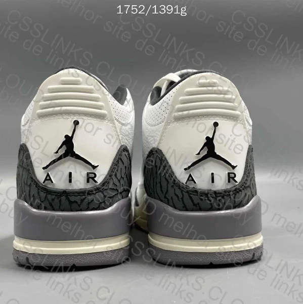 Air Jordan 3 Cement Gray 2