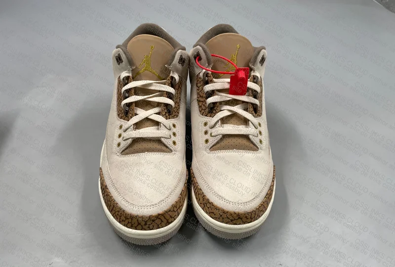 Air Jordan 3 Palomino 2