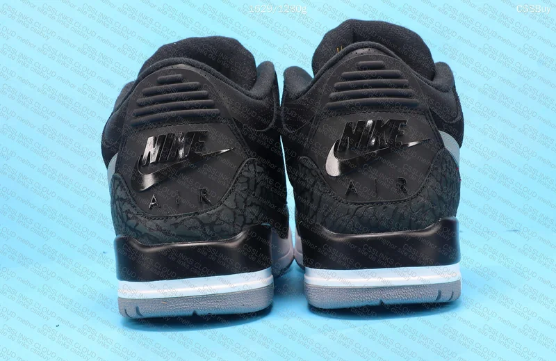 Air Jordan 3 Tinker Black Cement 3