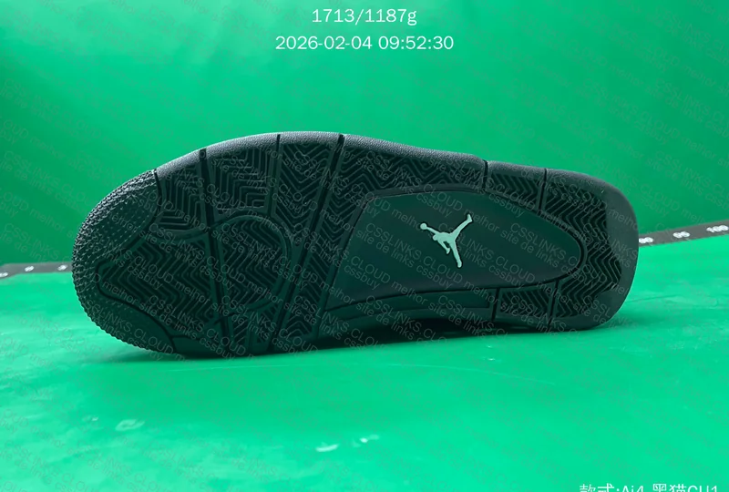 Air Jordan 4 6