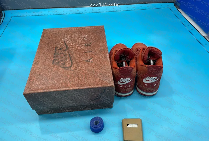 Air Jordan 4 Bike 10