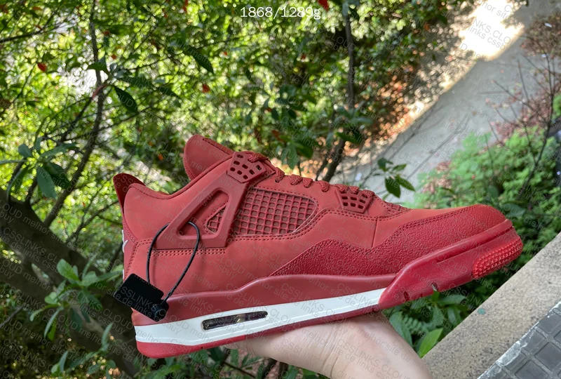 Air Jordan 4 (Bike Air KZ 2.0) 2