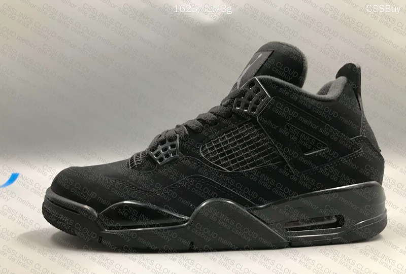Air Jordan 4 Black Cat 2