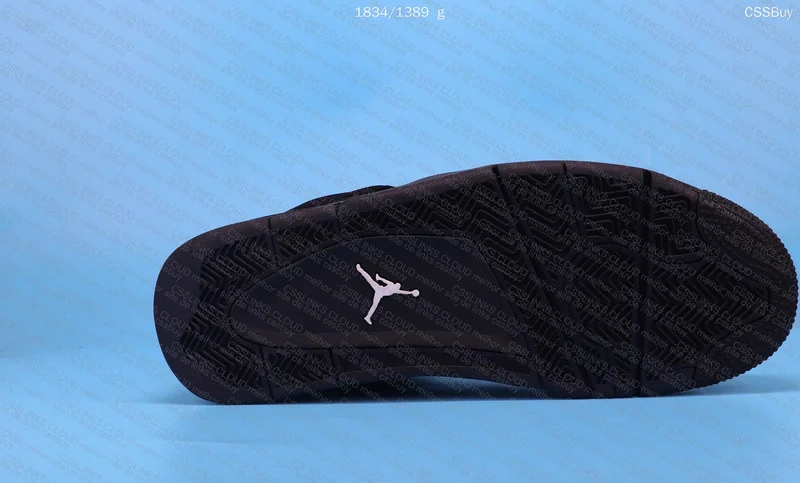Air Jordan 4 Black Cat 2