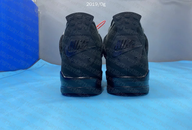 Air Jordan 4 Black Cat 2