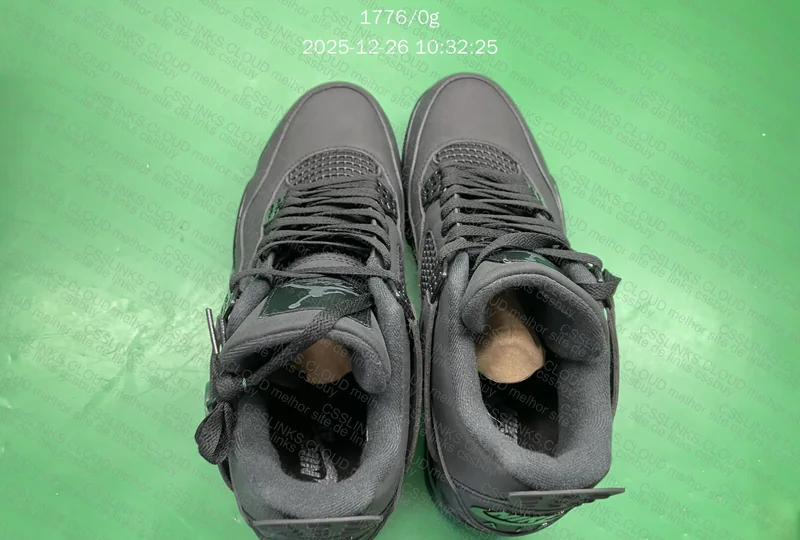 Air Jordan 4 Black Cat 2