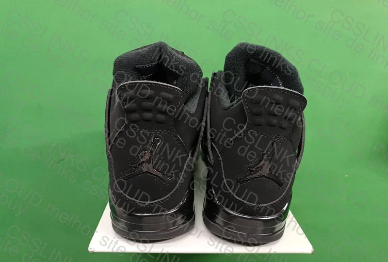 Air Jordan 4 Black cat 2