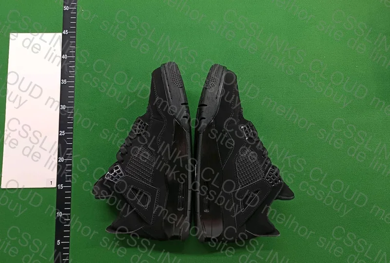 Air Jordan 4 Black cat 3