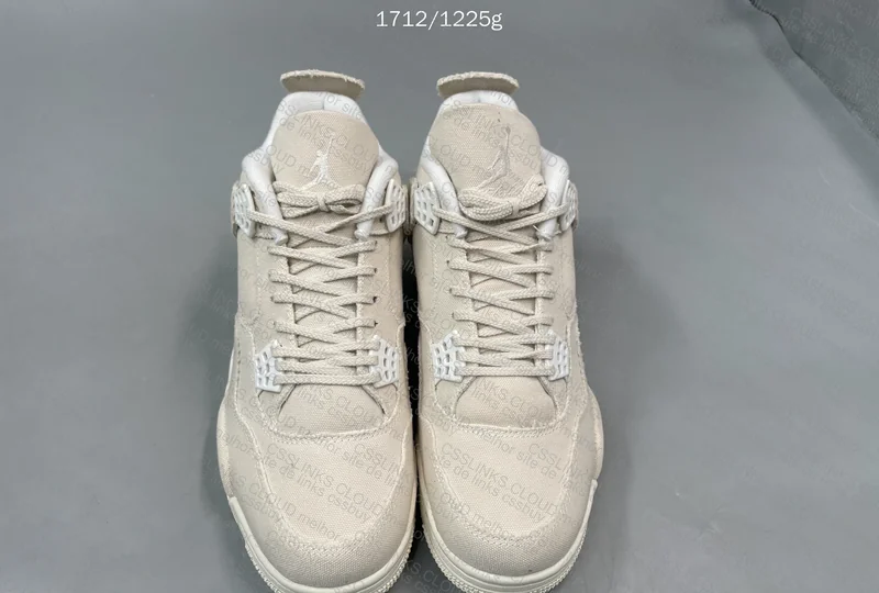 Air Jordan 4 Blank Canvas 2