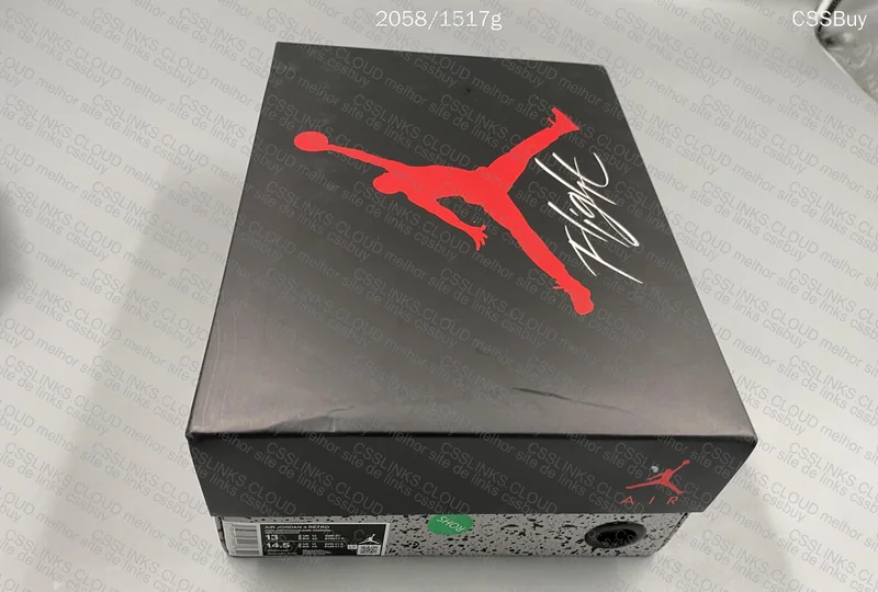 Air Jordan 4 Cool Grey 10