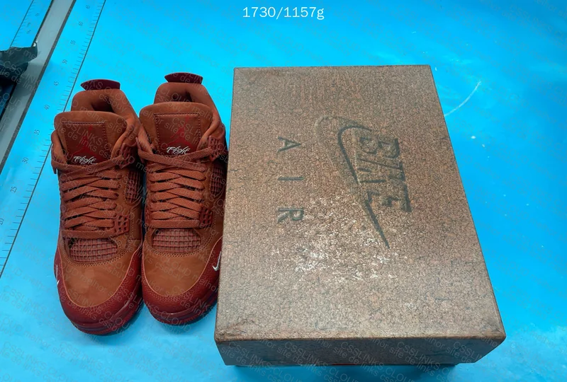 Air Jordan 4 Nigel Sylvester 10